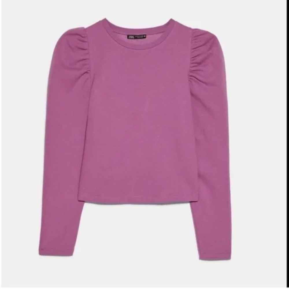 Zara Fuchsia Purple Sweater
